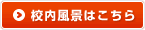 校内風景はこちら